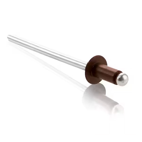 Pop Rivets- Brown - Mt Elliot